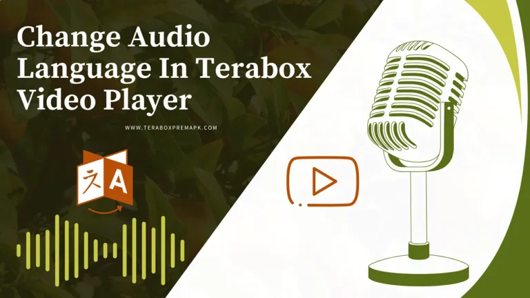 How to Change Audio Language in Terabox? 21 How to Change Audio Language In Terabox Featured
