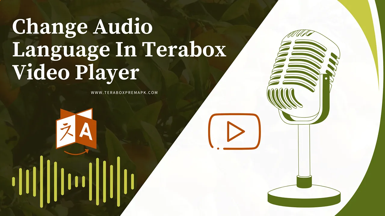 How to Change Audio Language in Terabox? 1 How to Change Audio Language In Terabox Featured